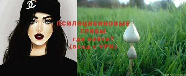 MDMA Premium VHQ Богородицк