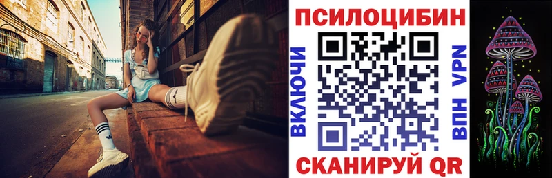 Галлюциногенные грибы мицелий  Купить закладки  Нерчинск 